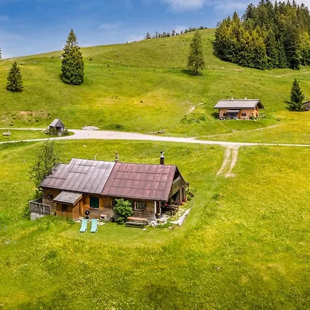 Schnaitstadl-Alm Selbstversorgerhuette Krispl Exterior photo