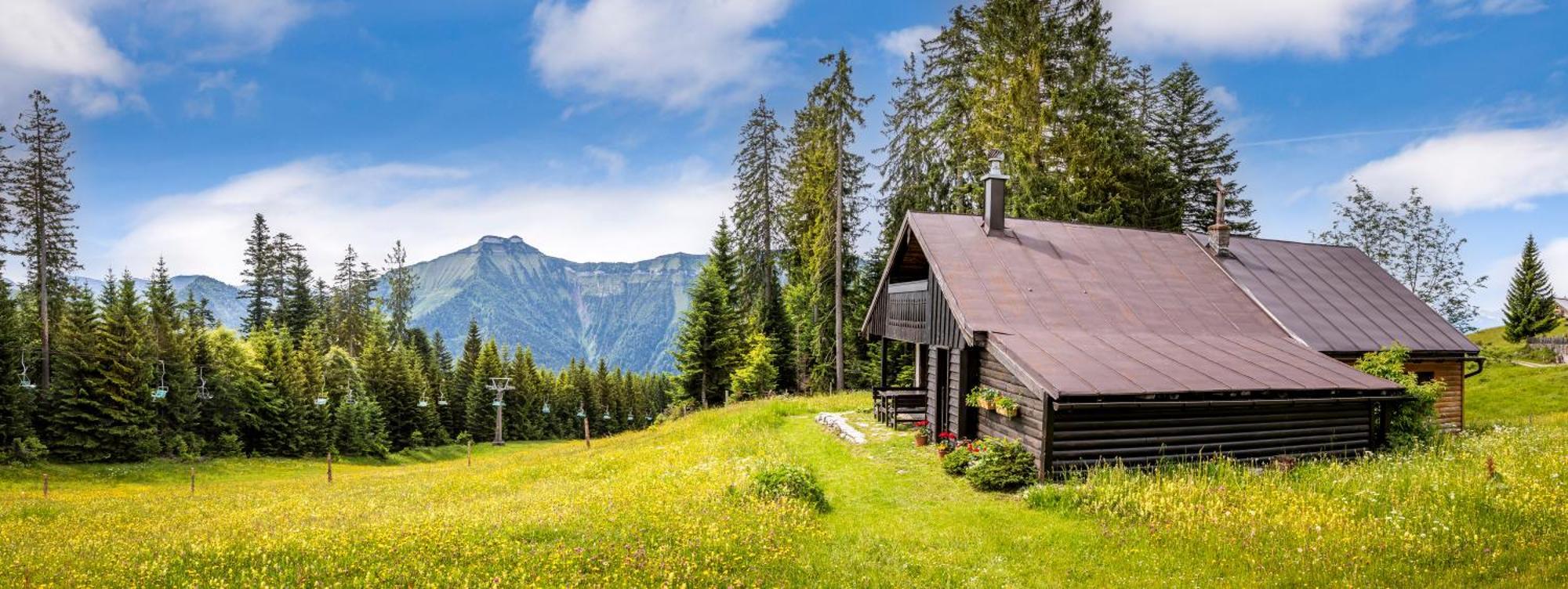 Chalet Schnaitstadl-alm Selbstversorgerhuette *